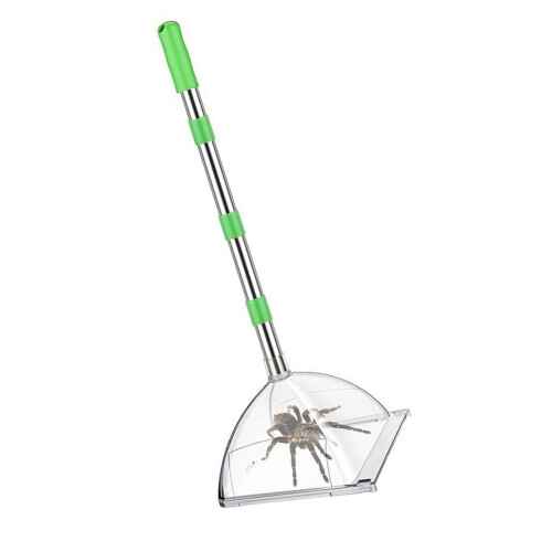 Attrape-araignées Portable en acier inoxydable, pour usage