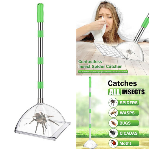 Attrape-araignées Portable en acier inoxydable, pour usage 1