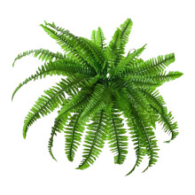 Arrangement de plantes de fougères artificielles pour-18 têtes