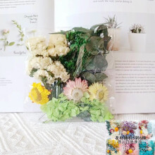 Naturinspirierte DIY-Projekte, echte getrocknete und gepresste Blumen zum Basteln, künstlerische und kreative Accessoires, vakuumverpackt für