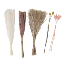 Conjunto elegante de flores secas naturais para decoração de casa, incluindo 30 unidades de capim-dos-pampas, 15 unidades de capim-dos-pampas