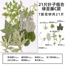 Tørrede blomster til gør-det-selv, assorterede tørrede pressede blade, ægte naturlige pressede blomster til at løfte dine håndværksprojekter,