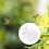Professional Bees Queen Controller Clip With Nonslip Grip For 7