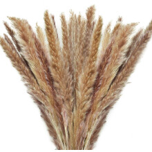 Dreamy Dried Pampas Grass, Post-Modern Farmhouse Decoration With Real Touch For All Seasons Decoration