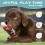 Interactively Cleaning Dog Toy Safe Nylons Textured Chewing 6