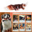 Interactively Cleaning Dog Toy Safe Nylons Textured Chewing 2