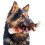 Interactively Cleaning Dog Toy Safe Nylons Textured Chewing 7