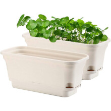 Indoor Outdoor Planter with Water Reservoir, Self Watering Plastic Window Box for Herbs and Succulents, Rounded Corner Design for Safety, Suitable for