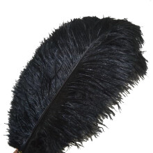 Natural Feathers For Home Decoration, Ostrich Feathers Ideal For Floral Arrangement And Easy To Care For