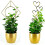 Iron Plant Support Stake Frame For Climbing Vine Garden-Love 3