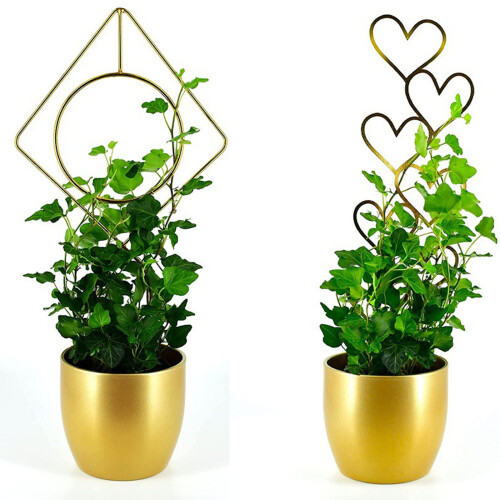 Iron Plant Support Stake Frame For Climbing Vine Garden-Love 2