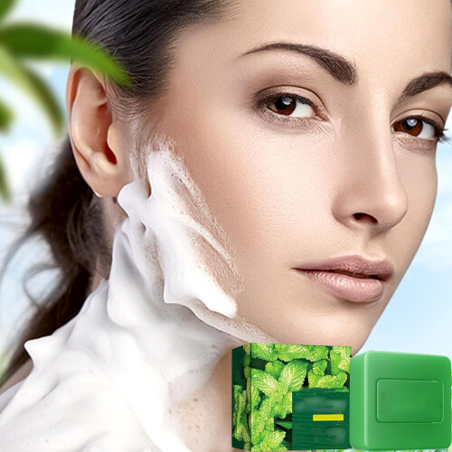 Tea Tree Oil Antischimmel Zeep Bar 1