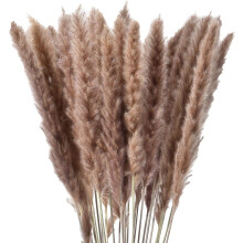 Decoración elegante de estilo bohemio para el hogar con hierba de la Pampa seca, pompones beige esponjosos para decoración de casas de campo,
