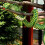 Peluche de serpiente ... 5