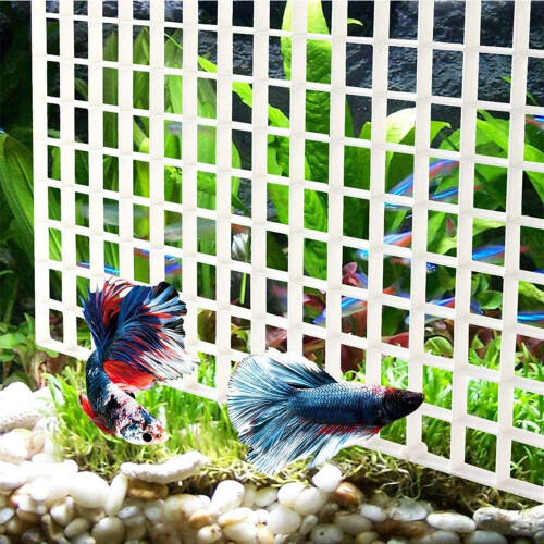 Lot de 10 grilles de séparation pour aquarium, avec 20 ventouses. 2