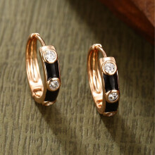 Ohrringe für Damen, elegante Zirkon-Ohrringe für den Sommer E0061
