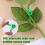 Clips d'entraînement pour plantes, Support de tige réglable pour 6