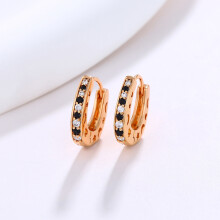 Ohrringe für Damen, elegante Zirkon-Ohrringe für den SommerE0011