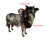 Holiday Beverage Server With Cattle Motifs 3 Pattern Option-A 2