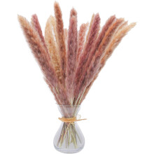 Decoração com Capim-dos-Pampas: o capim-dos-pampas fofo realça qualquer espaço com seu charme natural, ideal para sala de estar, quarto,