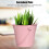 Multipurpose Use, Eco-Friendly Galvanized Buckets, Durable Wire Handle for Creative Succulent Pot 3