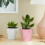 Multipurpose Use, Eco-Friendly Galvanized Buckets, Durable Wire Handle for Creative Succulent Pot 5