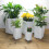 Golden Touch: Απομίμηση φύλλου χρυσού για έργα τέχνης DIY, διακοσμητικό φύλλο χρυσού με 3