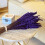 Combinação de eucalipto e lavanda para perfumar a casa, lavanda roxa preservada para experiências de spa (conjunto de 3) 5