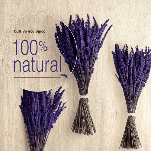 Combinação de eucalipto e lavanda para perfumar a casa, lavanda roxa preservada para experiências de spa (conjunto de 3) 1