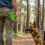2pcs Breeds Clickers Whistle For Dog Training-light orang 6