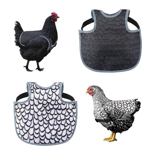 Bird Back Guard Pecking Prevention Design Easy-Black and white