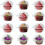 Πλαστικές θήκες για cupcakes με διάφανο καπάκι, ιδανικό σχέδιο για την προβολή των 2