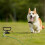 Trapezoidal Threaded Pet Stake Reinforced Grip Anchors-Style B 7