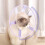 Comfortable Pet Collar Recovery Cone Comfortable Mesh-Blue M 6