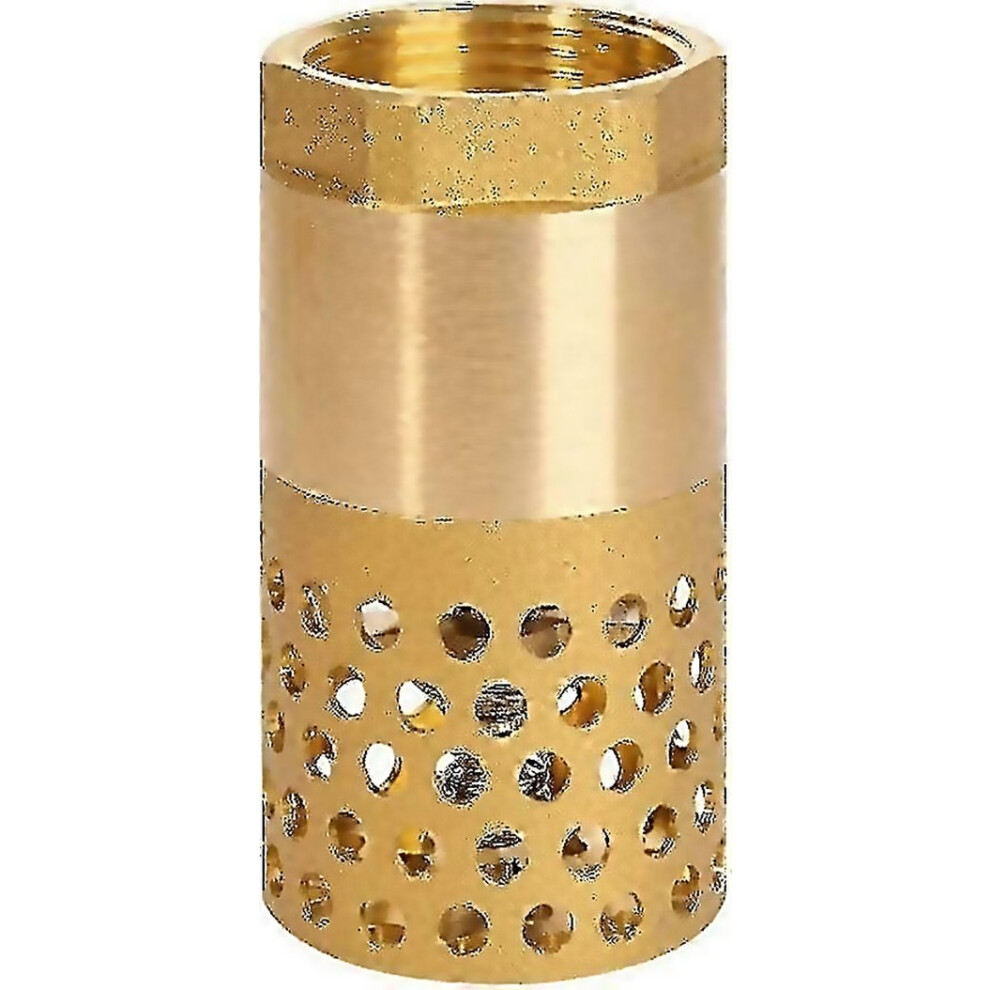 For 1 Inch Pump Check Valve Foot Valve Strainer Check Valve 1 6000002310422