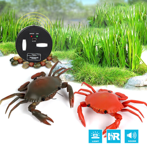 Electric Crab Toy with Remote Control, Light, 9x3x16cm 2
