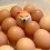 5x Αυγό Σκύλου Shiba Inu Ρεαλιστική Διακόσμηση Γραφείου σε Σχήμα Αυγού Σκύλος & Αυγό 4