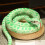 Simulatie Python Pluche Speelgoed Cadeau Roodbandpython 4