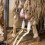 Handheld Goat Milker Vacuum Pump Light weight Sheep Goat Cattle 2