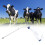 4L Calf Bottle Holders Large Feeding Bottle Accessory-Style B 3