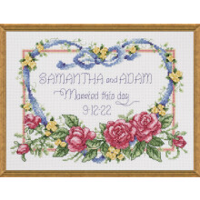 Janlynn 056-0193 Broderikit, 8 x 10 tum, Gift på denna dag, Vit