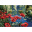 Dimensions Needlepoint Kit 16"X11"-Lakeside Poppies Stitched In Thread 5