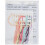 Tobin Giraffe Girl, Kit Punto Croce 11 x 14, Multi 2