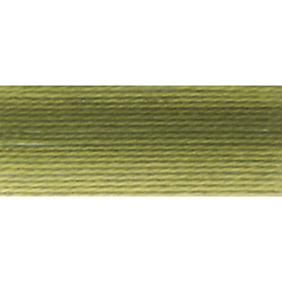 Dmc Pearl Cotton Ball Size 8 87Yd-Variegated Olive 116 8-94 White,Green