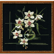 RIOLIS - White Orchid 941 Borduurpakketten 15 75"" x15 75 Borduurpakketten voor volwassenen Getelde borduurpakketten Borduurpakket voor beginners en g