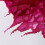 ColArt 1005542 Drawing Ink 14ml Purple 2