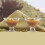 6x Ice Cream Dessert Pudding Appetizer Glass Serving Bowls, 165ml 5