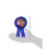 Beistle 30 Award-lint 3