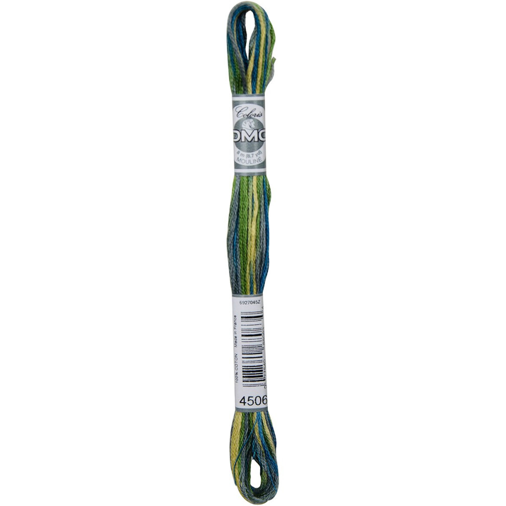 Dmc Coloris 6-Strand Embroidery Cotton Floss 8.7Yd-Spring
