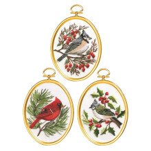 Janlynn Embroidery Kit 3"X4" Set of 3-Winter Birds-Stitched In Floss 4-0861